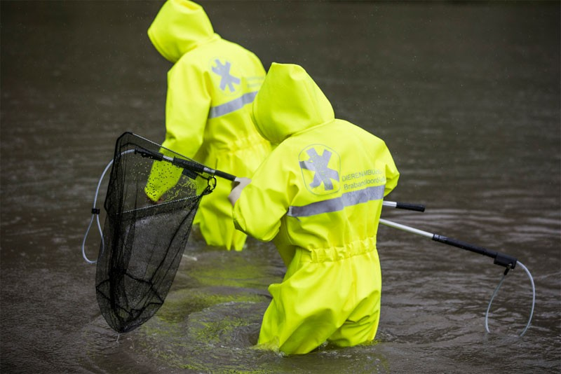 129067_Waadpak_coverall_Fluor_Geel_met_veiligheidslaarzen_S5_maat_L_p2