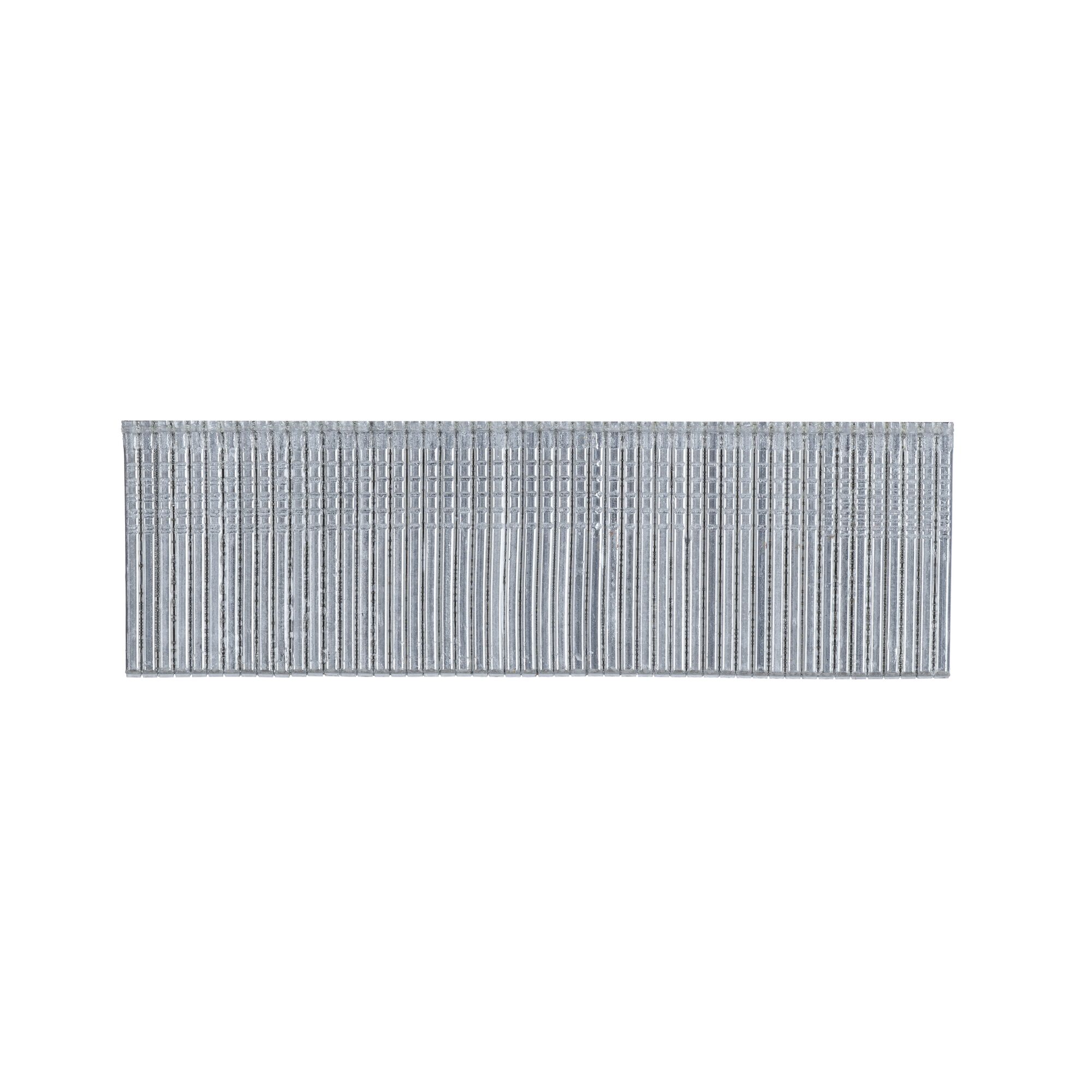 137764_Dewalt_brads_16Ga_recht__1_6___50mm_INOX_RVS_2_5m_DNBSB1650S316Z_DNBSB1650S316Z_p1