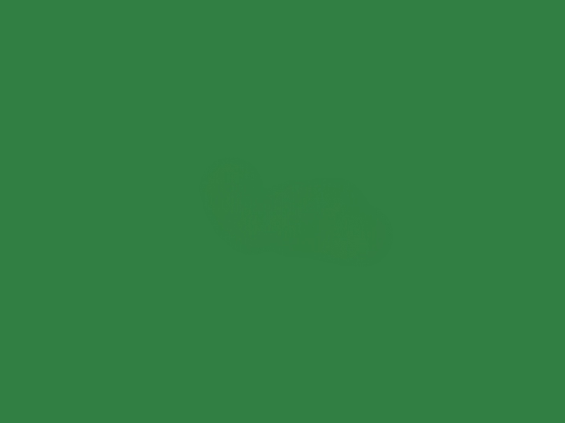 601704_Markeringsverf_GROEN_doos_12_spuitbussen_p4